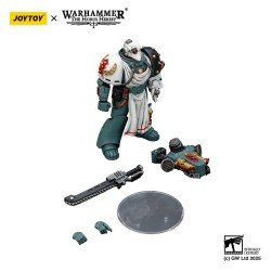 Warhammer 40,000: Sons of Horus figurine Legion Apothecary 12 cm | 6927054402465