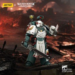 Warhammer 40,000: Sons of Horus figurine Legion Apothecary 12 cm | 6927054402465