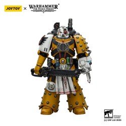 Warhammer 40,000: imperial Fists figurine Legion Apothecary 12 cm