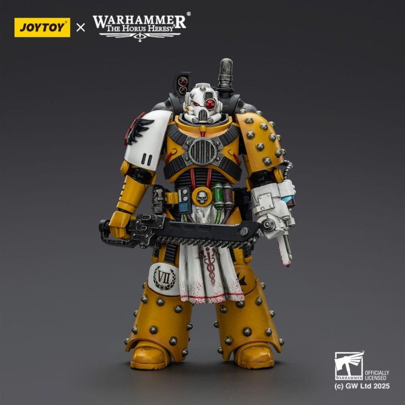 Warhammer 40,000: imperial Fists figurine Legion Apothecary 12 cm | 6927054402472