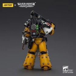 Warhammer 40,000: imperial Fists figurine Legion Apothecary 12 cm | 6927054402472