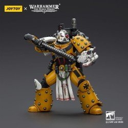 Warhammer 40,000: imperial Fists figurine Legion Apothecary 12 cm | 6927054402472