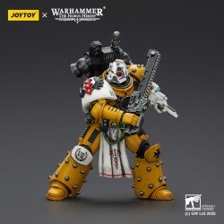 Warhammer 40,000: imperial Fists figurine Legion Apothecary 12 cm | 6927054402472
