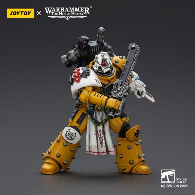 Warhammer 40,000: imperial Fists figurine Legion Apothecary 12 cm | 6927054402472