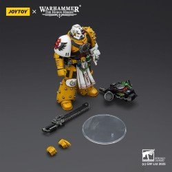 Warhammer 40,000: imperial Fists figurine Legion Apothecary 12 cm | 6927054402472