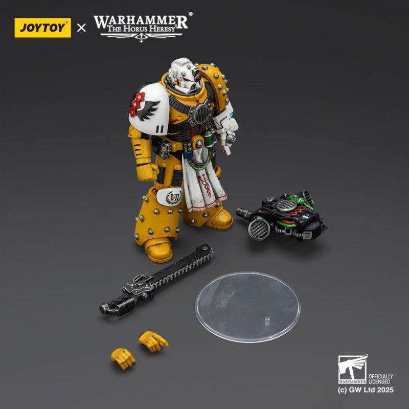 Warhammer 40,000: imperial Fists figurine Legion Apothecary 12 cm | 6927054402472