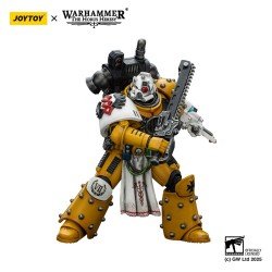 Warhammer 40,000: imperial Fists figurine Legion Apothecary 12 cm | 6927054402472