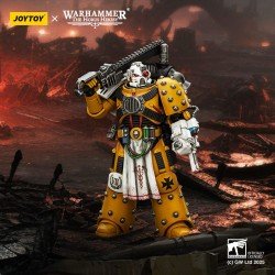 Warhammer 40,000: imperial Fists figurine Legion Apothecary 12 cm | 6927054402472