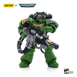 Warhammer 40k figurine 1/18 Salamanders Eradicators Sergeant Bragar 12 cm | 6973130375253