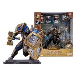 World of Warcraft figurine Human: Paladin / Warrior 15 cm | 0787926166736