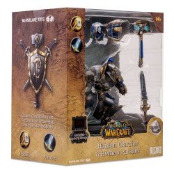 World of Warcraft figurine Human: Paladin / Warrior 15 cm | 0787926166736