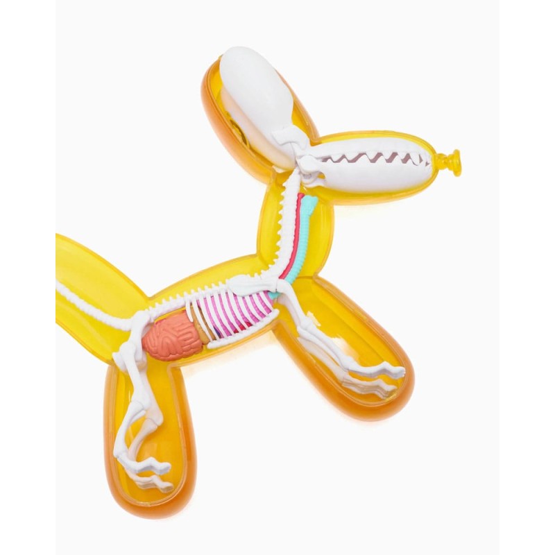 Funny Anatomy Honey Edition Balloon Dog Statue | 0658215278785