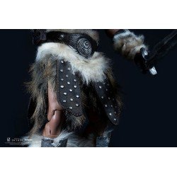 The Elder Scrolls V Skyrim figurine 1/6 Dragonborn Deluxe Edition 32 cm | 0713929403820