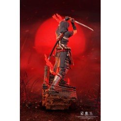 Assassin´s Creed statuette PVC 1/8 Animus Naoe 28 cm | 0713929405503
