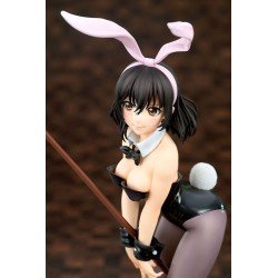 Strike the Blood statuette PVC 1/7 Yukina Himeragi Bunny Girl Style 25 cm | 4560393843050