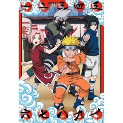 Naruto puzzle Fandom Collection (300 pièces) | 4005555015048