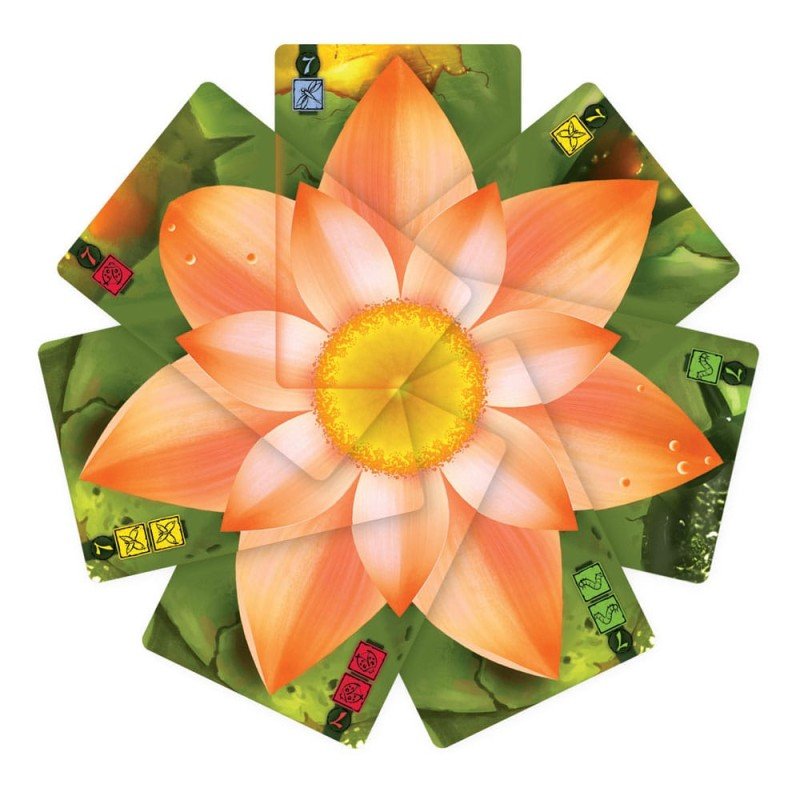 Lotus Jeu de cartes*ANGLAIS* | 0859930005278
