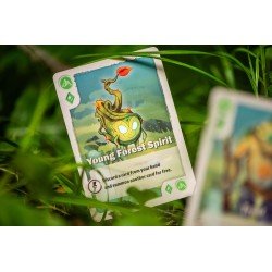 The Vale of Eternity Jeu de cartes *ANGLAIS* | 0810011726741