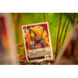 The Vale of Eternity Jeu de cartes *ANGLAIS* | 0810011726741