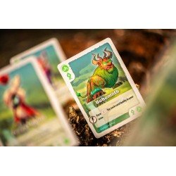 The Vale of Eternity Jeu de cartes *ANGLAIS* | 0810011726741