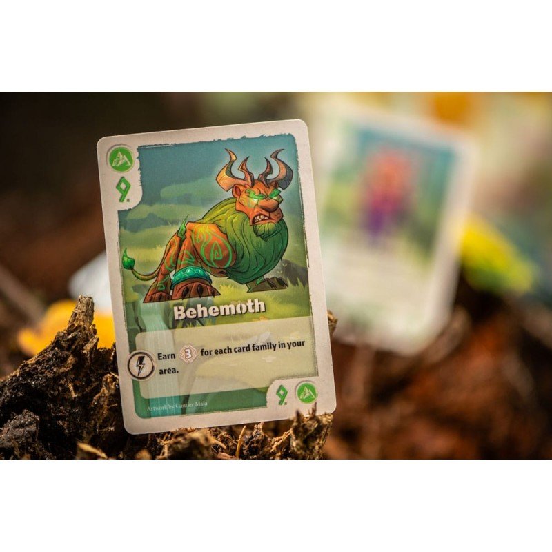 The Vale of Eternity Jeu de cartes *ANGLAIS* | 0810011726741