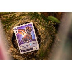 The Vale of Eternity Jeu de cartes *ANGLAIS* | 0810011726741