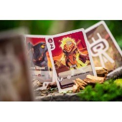 The Vale of Eternity Jeu de cartes *ANGLAIS* | 0810011726741