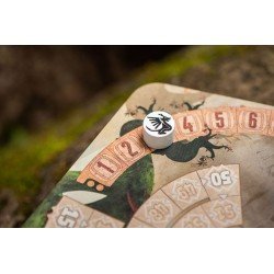 The Vale of Eternity Jeu de cartes *ANGLAIS* | 0810011726741