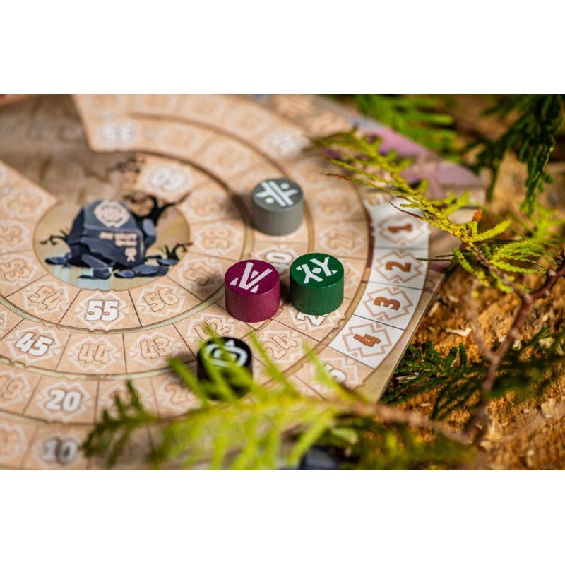 The Vale of Eternity Jeu de cartes *ANGLAIS* | 0810011726741