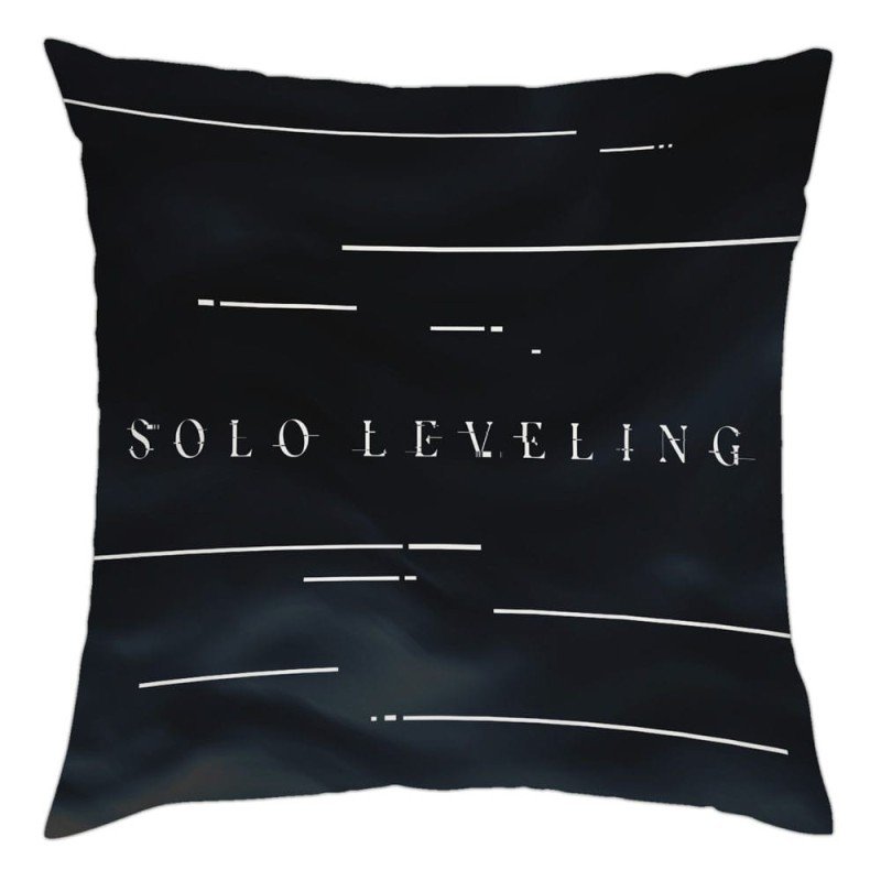 Solo Leveling coussin Sung Jin-Woo 40 x 40 cm | 7630017538253