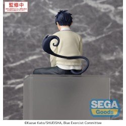 Blue Exorcist PM Perching PVC Statue Rin Okumura 14 cm | 4582733440873