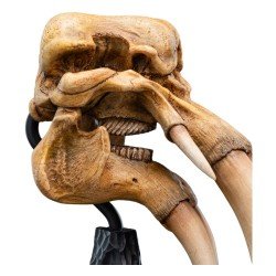 Le Seigneur des Anneaux statuette Skull of a Mumak 15 cm | 9420024746912