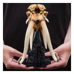 Le Seigneur des Anneaux statuette Skull of a Mumak 15 cm | 9420024746912