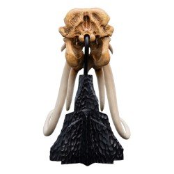 Le Seigneur des Anneaux statuette Skull of a Mumak 15 cm | 9420024746912