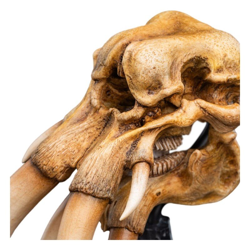 Le Seigneur des Anneaux statuette Skull of a Mumak 15 cm | 9420024746912