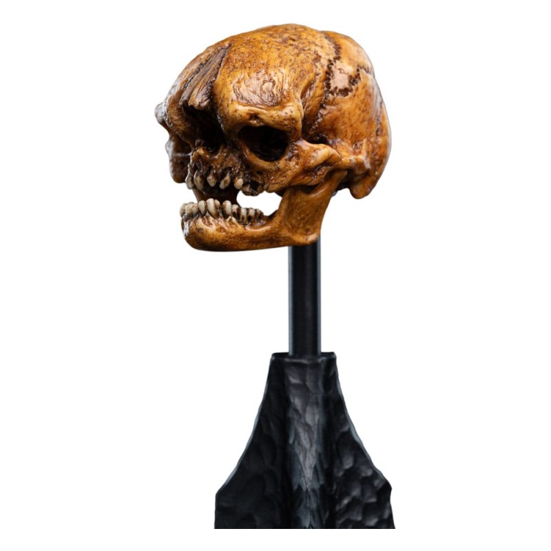 Le Seigneur des Anneaux statuette Skull of a Misty Mountain Goblin 14 cm | 9420024746905