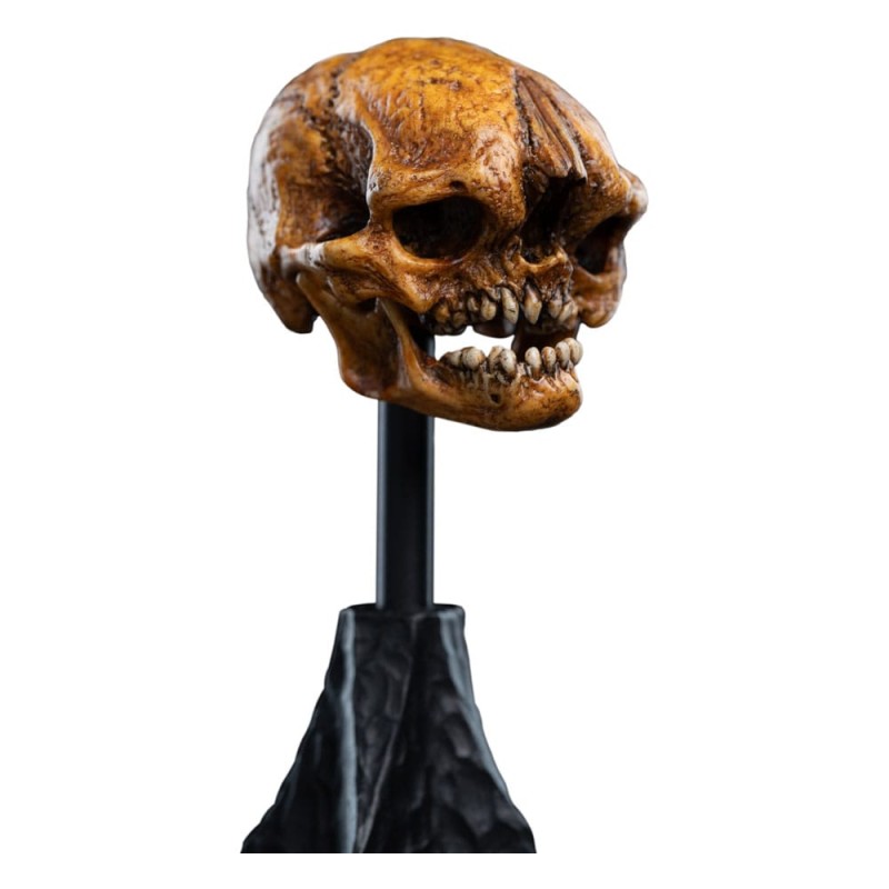 Le Seigneur des Anneaux statuette Skull of a Misty Mountain Goblin 14 cm | 9420024746905