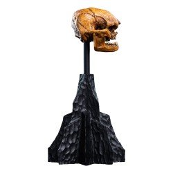 Le Seigneur des Anneaux statuette Skull of a Misty Mountain Goblin 14 cm | 9420024746905