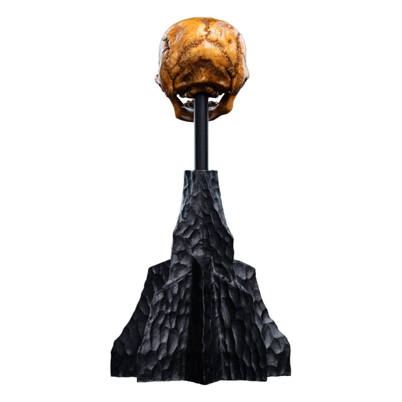 Le Seigneur des Anneaux statuette Skull of a Misty Mountain Goblin 14 cm | 9420024746905