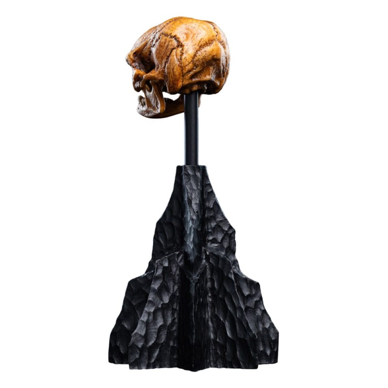 Le Seigneur des Anneaux statuette Skull of a Misty Mountain Goblin 14 cm | 9420024746905