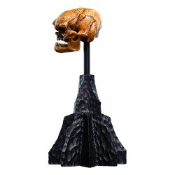 Le Seigneur des Anneaux statuette Skull of a Misty Mountain Goblin 14 cm | 9420024746905