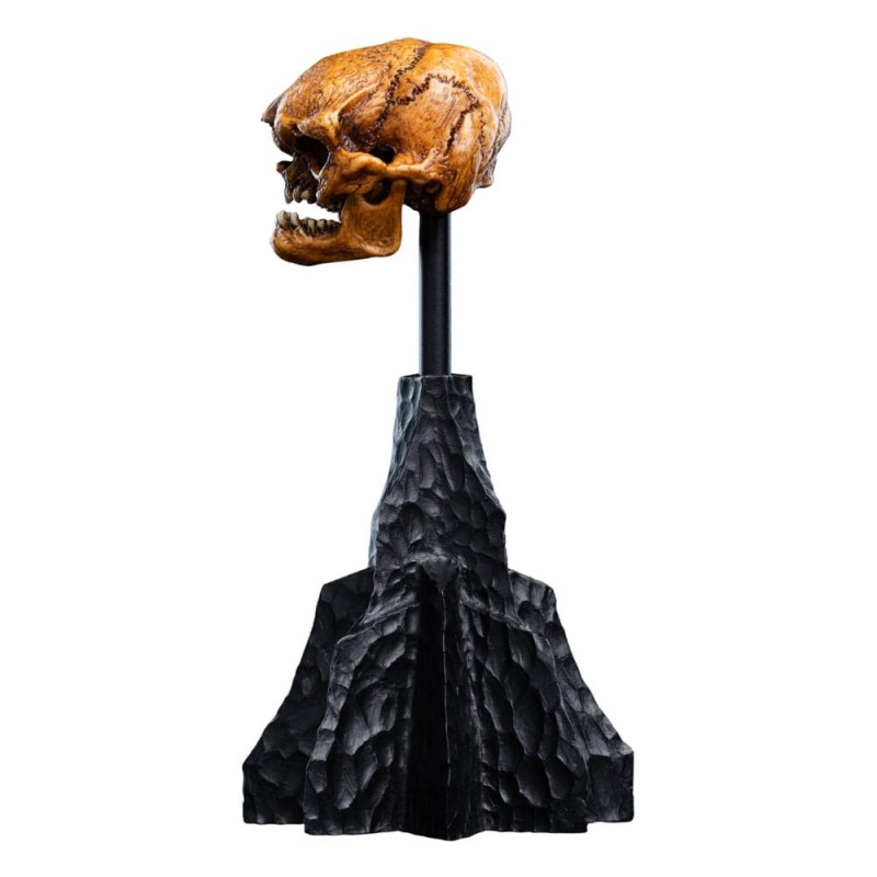 Le Seigneur des Anneaux statuette Skull of a Misty Mountain Goblin 14 cm | 9420024746905