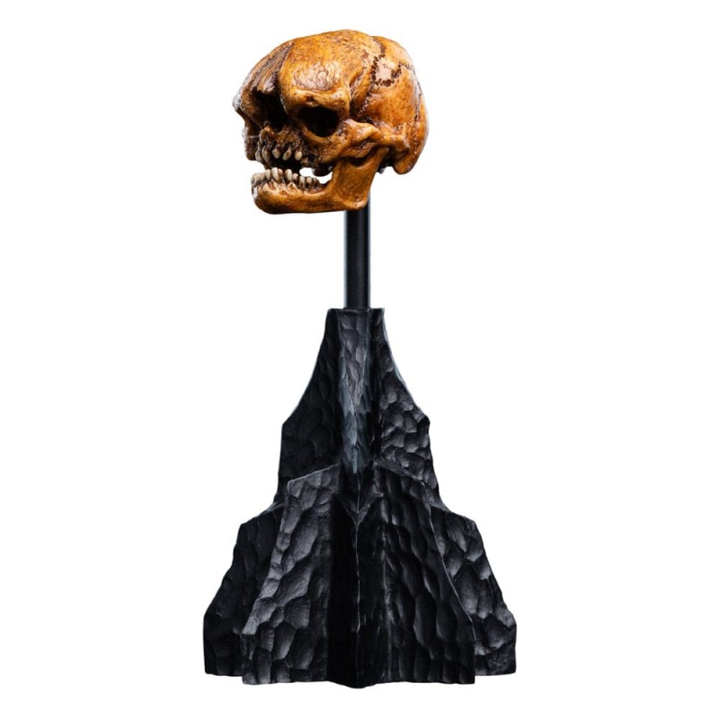 Le Seigneur des Anneaux statuette Skull of a Misty Mountain Goblin 14 cm | 9420024746905
