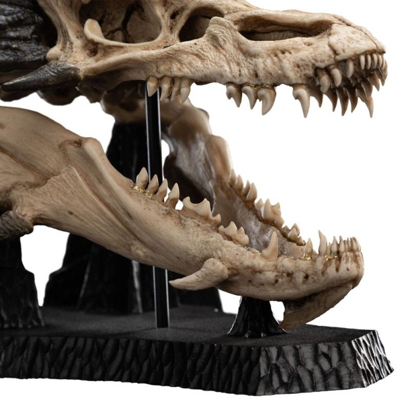 Le Seigneur des Anneaux statuette Skull of Smaug 22 cm | 9420024747605