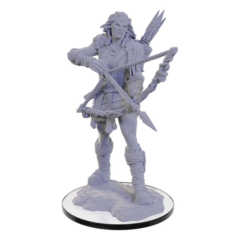 Pathfinder Deep Cuts miniature à peindre Wood Giant | 0634482906880