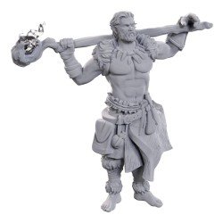 D&D Nolzur's Marvelous Miniatures pack 2 miniatures à peindre Archdruid & Martial Arts Adept | 0634482906958
