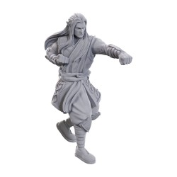 D&D Nolzur's Marvelous Miniatures pack 2 miniatures à peindre Archdruid & Martial Arts Adept | 0634482906958