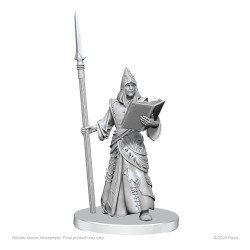 Pathfinder Deep Cuts miniatures à peindre Vloriak (Despoiler Demon) & Demonologist | 0634482908365