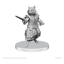 Pathfinder Deep Cuts miniatures à peindre Procyal (Raccoon Agathion) & Zoaem (Ring Archon)l) | 0634482908389