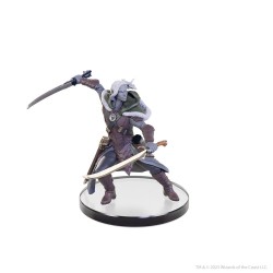 D&D The Legend of Drizzt 35th Anniversary pre-painted Miniatures Family & Foes Boxed Set | 0634482962145